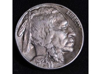 1929-S Buffalo NIckel  XF Super Coin!! Good Date! (dpt76)