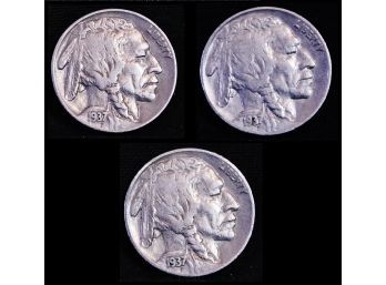 3   1937  1937-D  Buffalo Nickels  NICE LOT! (7xLt3)