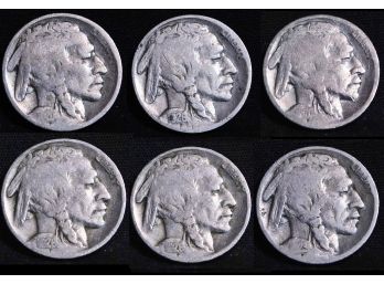6 Buffalo Nickels  1920  1923  1926 (dmc31)