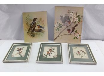 Lot Of 5 Bird Prints, 3 Are Framed, #204, 205 And 207 By James Gordon Irving