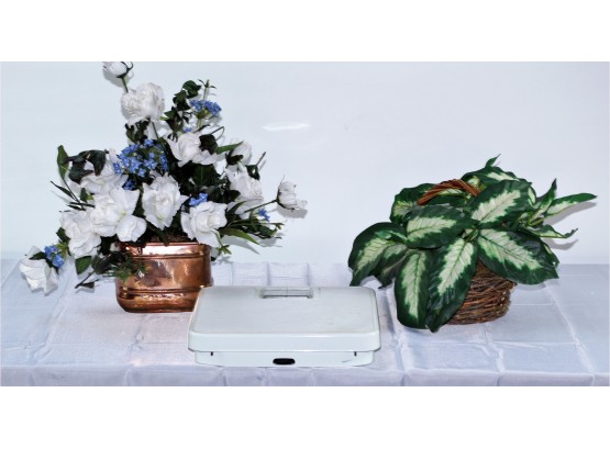 One Plant, One Flower Arrangement, One Bathroom Scale