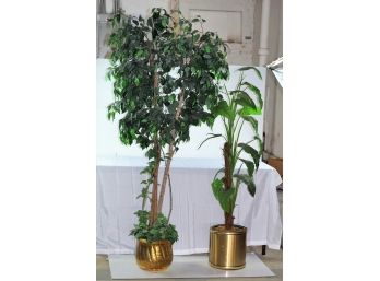 1 Artificial Tree And 1 Plant