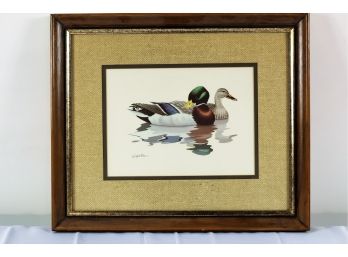 Mallard Ducks Picture, Richard Sloan