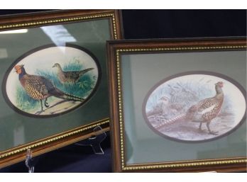 2 Framed Pheasant Prints 14 X 11