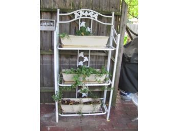 Plant Stand And Plants 31 X 6 Ft Tall