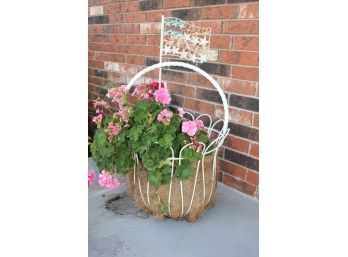 Metal Flower Basket With Geranium 18in Diameter