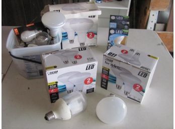 Assortment Of Light Bulbs