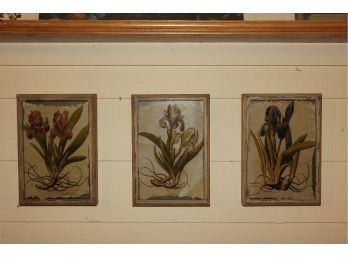 Set Of 3 Creative-Co-op Iris Pictures On Glass
