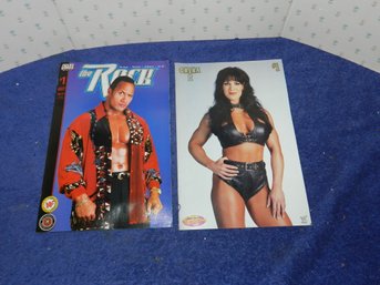 WWF COMIC BOOKS #1 THE ROCK AND CHYNA II