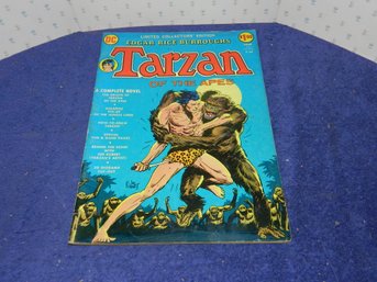 VINTAGE LIMITED COLLECTOR'S EDITION OVERSIZE COMIC 1973 TARZAN C-22