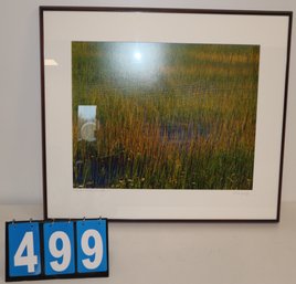 31.5' X 27.5' - Framed Signed Art Work - Unknown Artist - Green And Yellow Grass Blue Water #17