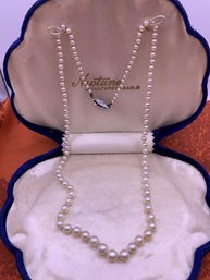 Genuine Creamy Cultured Pearls In Blue Velvet Box
