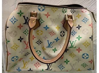 Louis Vuitton Colored Bag