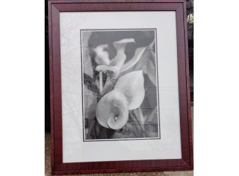 Bruce Busko Black & White Photograph Titled Calla Lillies