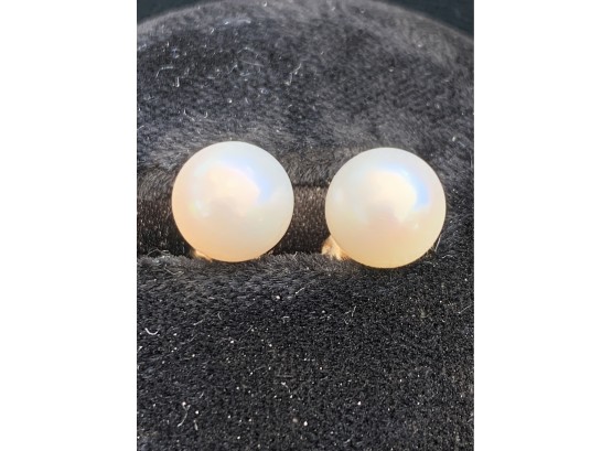 Classic Creamy Cultered Pearl Earrings 14kt