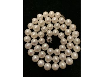 Huge Creamy Cultured Pearls Sterling