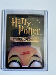 Harry Potter Collector Card (M)