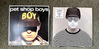 Vintage Vinyl  Pet Shop Boys