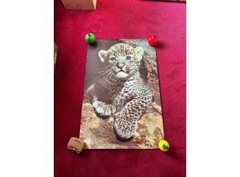 Vintage 1970s Animal Poster Tiger Cub By Portal Publications