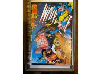 Wolverine Vs Sabretooth Feb 1995  90 Marvel Comic Book