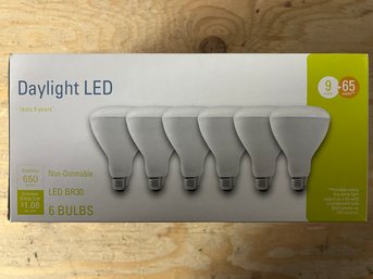 Daylight LED Bulbs