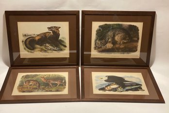 Four Vintage Animal Lithographs