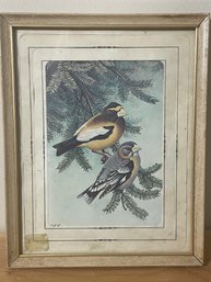 Signed Framed Painting Of Two Little Birds In A Tree