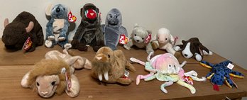 Late 90s Ty Beanie Baby Lot