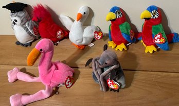 Late 90s Ty Beanie Baby Birds And A Bat Lot