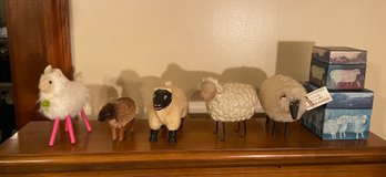 Lot Of Lambs