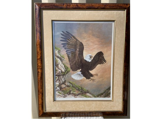 Bald Eagle Print By Wildlife Artist Christine Marshall