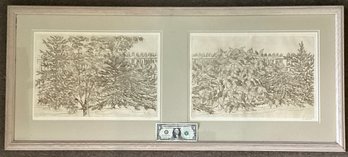 Large Etching Of Spruce And Hydrangea By The Late Artist Barbara Dahlin