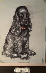 Artist Oil Crayon  Drawing Of A Black Cocker-spaniel By The Late Barbara Dahlin