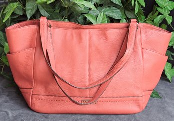 Coach Park Leather Carrie Tote In Sienna/ Silver Accents