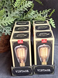 6 Separately  Boxed Edison Bulbs