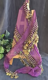 Purple Belly Dancer's Chiffon Hip Scarf With Coins
