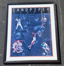 Large, Fabulous Framed Sandpiper Sports Poster