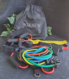 Bornew Resistance Bands Complete System In Carrying Bag