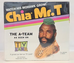 Vintage Unopened Mr. T Chia Mr. T