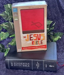 NIV Zondervan Study Bible And NIV The Jesus Bible Ages 9-12