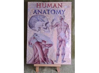 The Giant Book Of Human Anatomy
