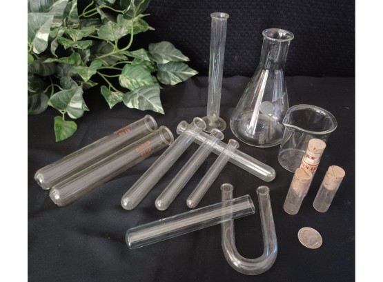Test Tubes And Beakers