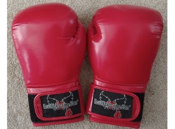 Red Boxing Gloves-I Love Kick Boxing