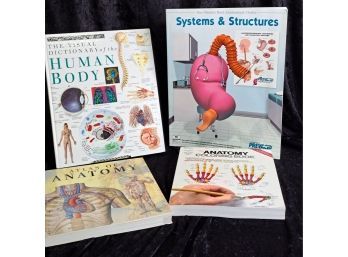 Collection Of Anatomy Books