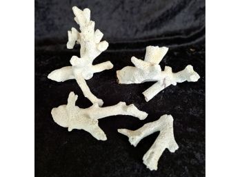 Four Pieces Of Finger Coral
