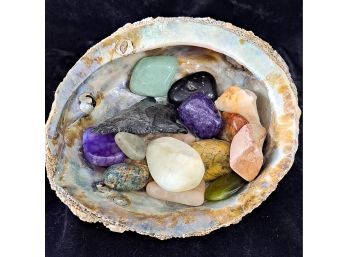 A Shell Full Of Beautiful Stones