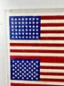 Original 1979 Jasper Johns 'Two Flags' Lucite Framed Lithograph /5000