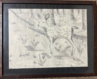 Framed Black And White Charcoal Drawings Of A Fawn