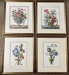 Four Framed Botanicals