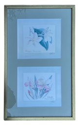 Caribbean Botanical Series - Oleander & Frangipani Framed Watercolor Print